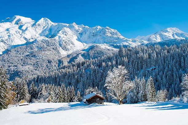 Happy Moose - Cosy Mont Blanc View Apartment Chamonix ภายนอก รูปภาพ