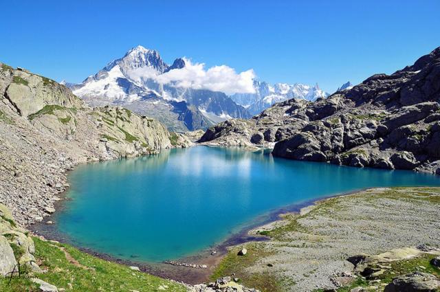Happy Moose - Cosy Mont Blanc View Apartment Chamonix ภายนอก รูปภาพ