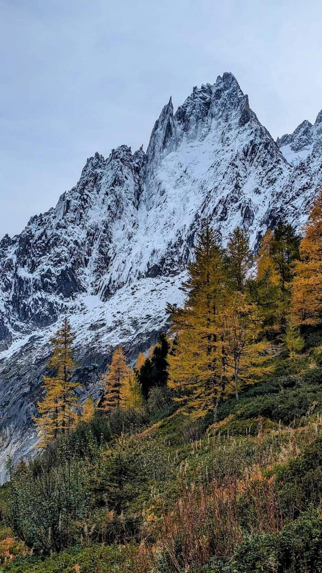 Happy Moose - Cosy Mont Blanc View Apartment Chamonix ภายนอก รูปภาพ