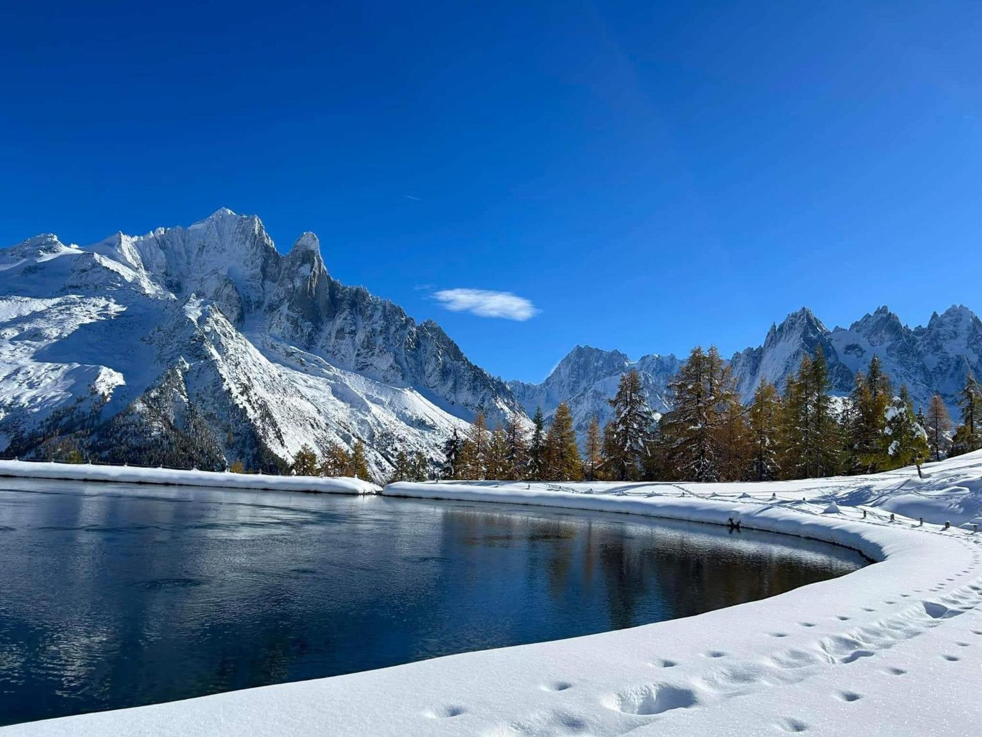 Happy Moose - Cosy Mont Blanc View Apartment Chamonix ภายนอก รูปภาพ